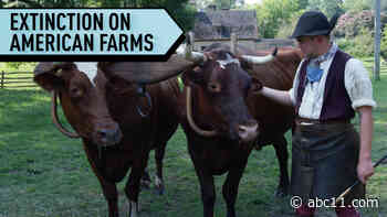 Fighting Extinction on American Farms