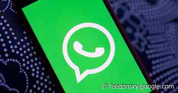 WhatsApp won't delete your account for ignoring privacy policy deadline     - CNET