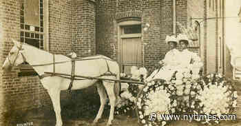 Annette Gordon-Reed’s Surprising Recollections of Texas