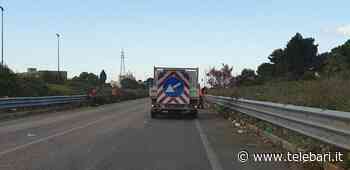 Taglio erba lungo le Provinciali del Barese: operazioni completate a Monopoli, Locorotondo e al confine col Brindisino - Telebari