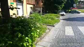 (VIDEO) Aversa. Erba incolta tra via di Giacomo e Piazza Trieste e Trento - La Rampa