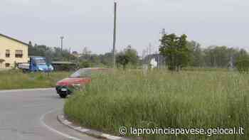 Erba alta sulle rotonde I rischi per le auto - La Provincia Pavese