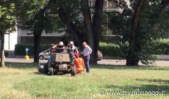 Iniziati gli sfalci dell'erba, in meno di un mese gli interventi saranno conclusi - Cremonaoggi