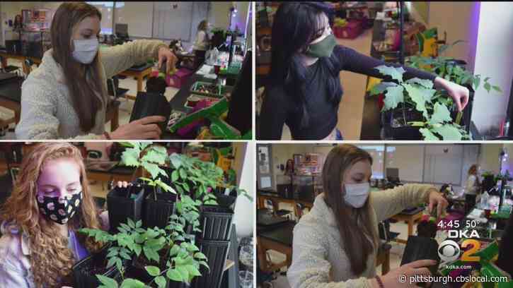 Kidsburgh: Allegheny Intermediate Unit Helps Teachers Fund Projects To Keep Students Motivated