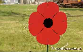 Lawn poppy campaign started in London's Lambeth community is blooming - CTV News London