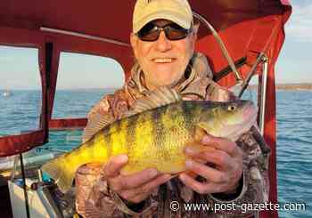 State record yellow perch caught near Presque Isle
