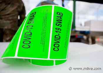 Michigan reports 2,758 new coronavirus cases, 30 new deaths Friday, May 7 - MLive.com