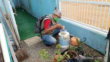 Imbituba está na lista das cidades de SC com mais casos de infestação do Aedes Aegypti - Portal Notisul