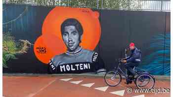 Nergens zonder weg in Mol - De Tijd