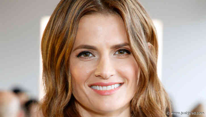 'Absentia' Is Over After Three Seasons, Stana Katic Speaks Out on Ending the Show