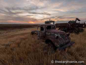 StarPhoenix team wins for local reporting at National Newspaper Awards