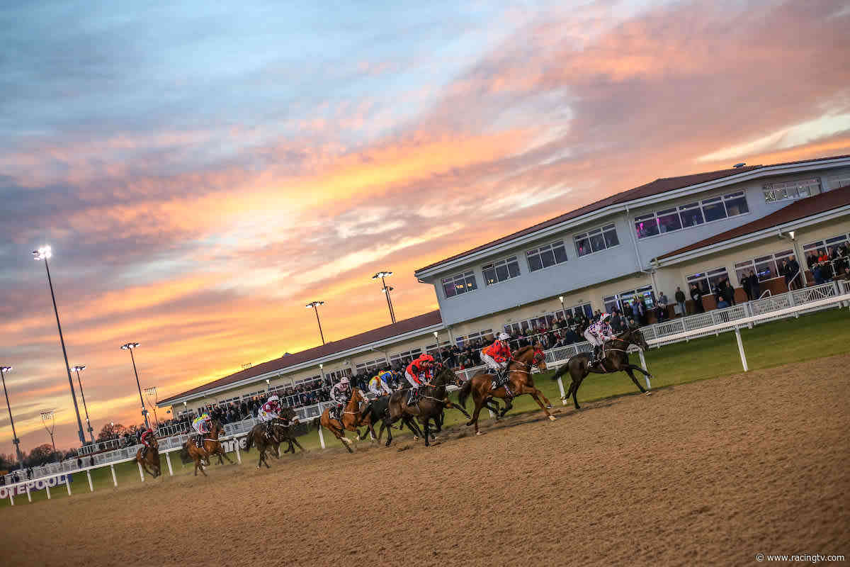 Results: Ministry of Sound Classical 21st August Handicap (6) (on Thu 6 May 2021 at Chelmsford City) - Racing TV