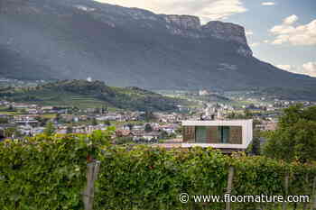 monovolume architecture+design's P2 House as an integral part of the landscape | Livegreenblog - Floornature.com