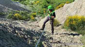 Modena, trovate le ossa di una donna - il Resto del Carlino