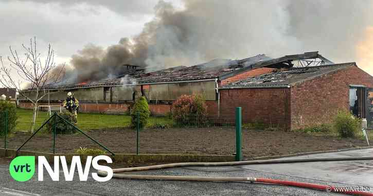 Loods met oldtimers uitgebrand in Lichtervelde - VRT NWS