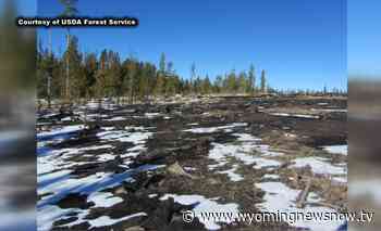US Forest Service reminds outdoorsmen to be prepared when entering Mullen burn areas - wyomingnewsnow.tv