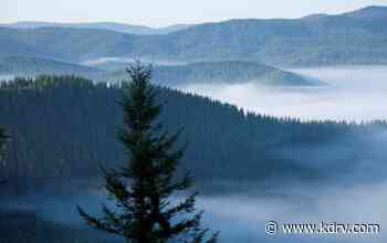 State Invites Public Comment about Its Forest Management Work - KDRV