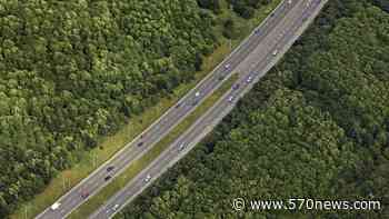 Forest vs. Highway: The eternal Canadian battle - 570 News