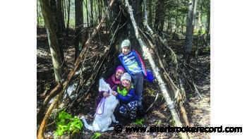 Women's centre branching out with new forest workshops - Sherbrooke Record