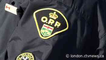 Human remains located near Mount Forest, Ont. - CTV News London