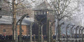 Tripadvisor removes review that called Auschwitz 'fun for the family'