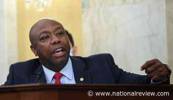 Tim Scott, Front-Runner for 2024 - National Review
