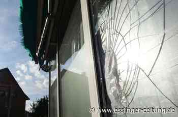 Vorfall in Ostfildern: Einbruch in die Lindenschule - Ostfildern - esslinger-zeitung.de