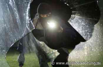 Versuchter Diebstahl in Ostfildern: Alarmanlage erschreckt Diebe - Ostfildern - esslinger-zeitung.de