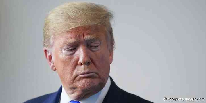 Trump's widely-mocked new blog shows he is now just 'shouting into the void,' say social media experts