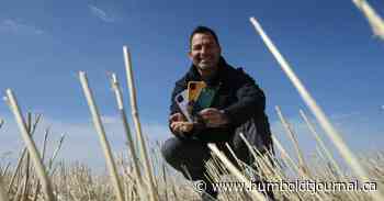 Saskatoon company uses flax for compostable phone cases - Humboldt Journal