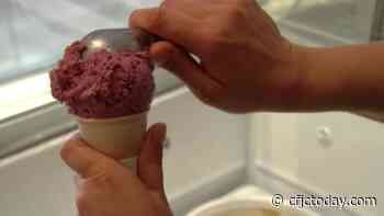 Kamloops' ice cream scene growing ahead of summer season - CFJC Today Kamloops