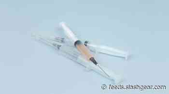 Salmonella vaccine one step closer to reality with research breakthrough