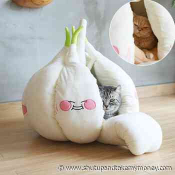 Garlic Bulb Cat Bed