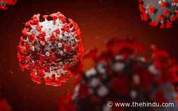 Study reveals interesting facet of the novel coronavirus - The Hindu