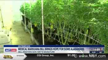 Medical marijuana bill offers hope for some Alabamians - WAFF