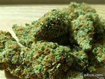 GOP lawmaker: 'there's a path forward' to medical marijuana - WKOW