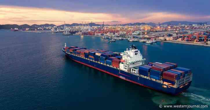 Bureaucratic Red Tape Kept Man Virtually Imprisoned on Lonely Ship for Years; Escape Attempts Ended with Police Putting Him Back on Boat