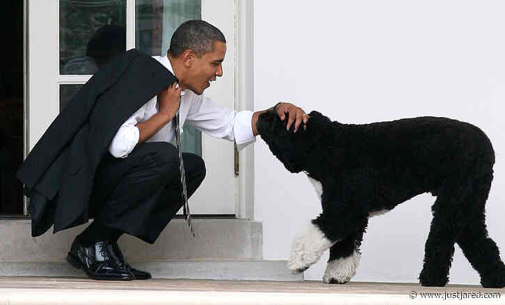 Barack & Michelle Obama Mourn the Death of Their Dog Bo - Read Their Emotional Statements
