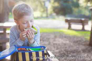 Somerset County Council agrees to fund food vouches over half term - Somerset County Gazette