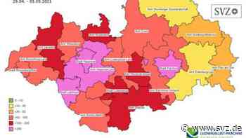 Ludwigslust-Parchim: Seit Januar 210 Corona-Tote | svz.de - svz – Schweriner Volkszeitung