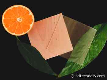 Citrus Derivative Makes Transparent Wood 100% Renewable