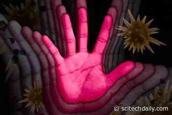 MIT Neuroscientists Find That Mice Naturally Engage in Physical Distancing