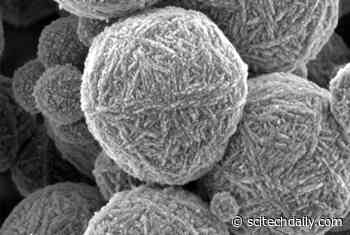 “Colloidal Gels,” Ubiquitous in Everyday Products, Divulge Their Secrets of Evolution