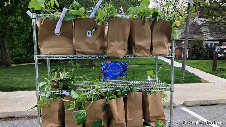 Moon Twp. Garden Club Gives Away Plants For Victory Garden Initiative