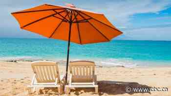 Travel deals are here but should you book now?