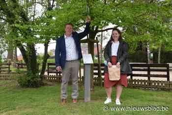 Nieuwe tuttenboom aan petanqueplein