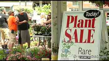 Flower City Days at Rochester Public Market kicks off Sunday