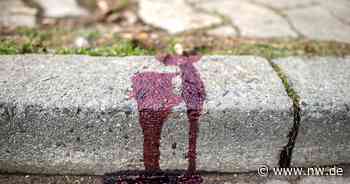 Beim Sprechen gespuckt? Jugendliche bewerfen junge Frau mit Steinen - Neue Westfälische