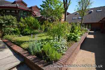 Bolton Hospice virtual garden can help you remember loved ones | This Is Lancashire - This Is Lancashire