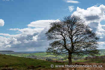 Photographers capture the beauty in and around Bolton - The Bolton News